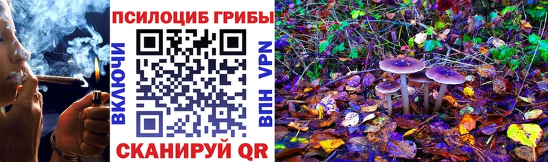 купить  цена  omg маркетплейс  Псилоцибиновые грибы прущие грибы  Камешково 